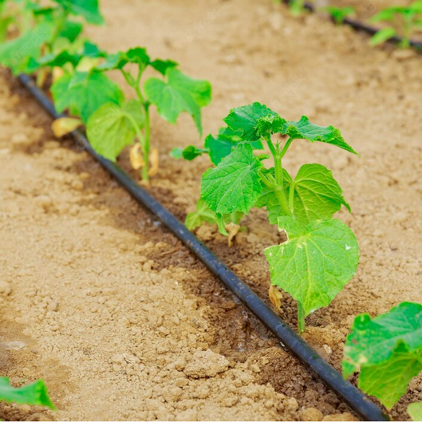 Irrigation